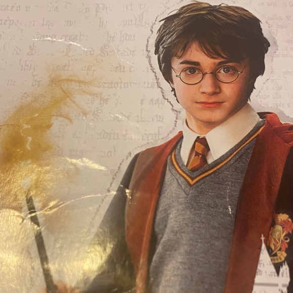 Harry Potter Gryffindor Black Wizard Costume with Red Accents - Picture 4 of 6